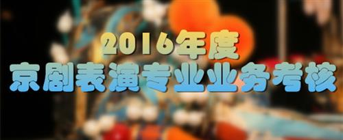 操骚B网国家京剧院2016年度京剧表演专业业务考...